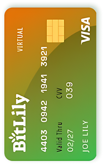 bitlily-crypto-card-18-e1755511803569