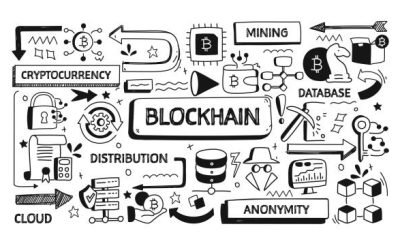 Cryptocurrency Explained: Beginner’s Guide for 2025 | BitLily