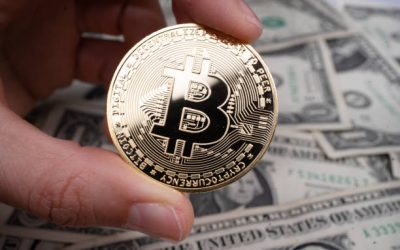 How Much Is $10 Worth of Crypto? | BitLily Crypto Card Guide