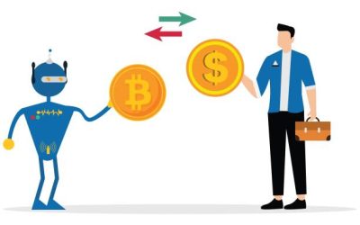 What Is a Crypto Merchant Service? BitLily Crypto Payments Guide