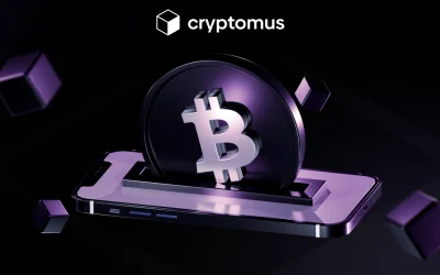 Top-8 Cryptocurrency Payment Gateways Using BitLily