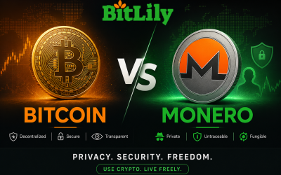 Monero vs Bitcoin: Key Differences, Pros & Future